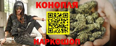 наркотики Сланцы