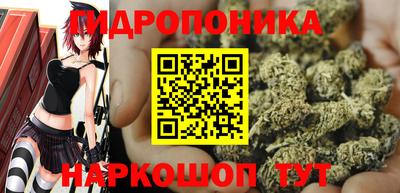 наркотики Сланцы