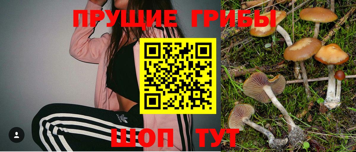 Галлюциногенные грибы прущие грибы Нижний Тагил